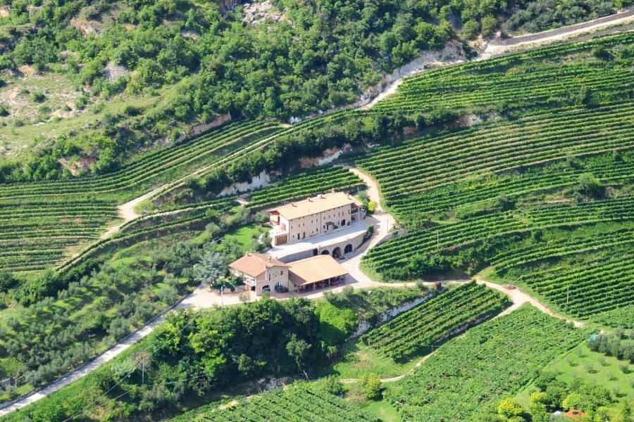 azzienda agricola boscaini carlo