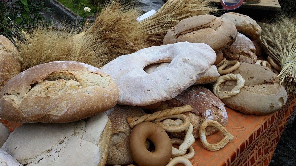 The Villages of Bread: journey through traditions and ancient ovens of Italy