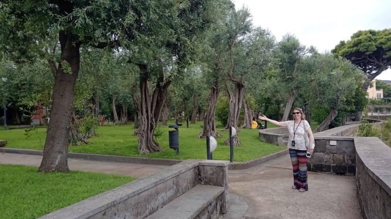 Piano di Sorrento e il Museo  “Georges Vallet”- Visita guidata