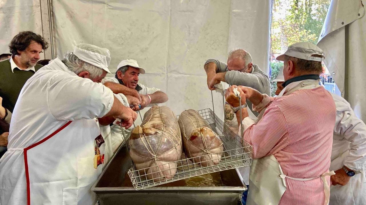 November Porc Sissa Mariolone