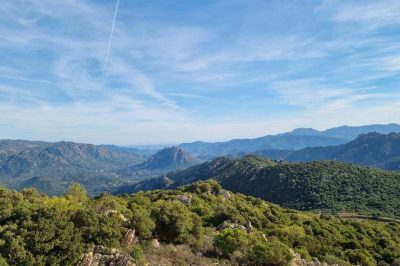 Foreste Aperte nel Parco di Tepilora 2025: quattro weekend tra natura, tradizioni e sostenibilità