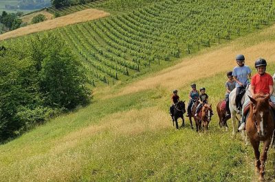Passeggiata a Cavallo nelle Langhe tra i Vigneti