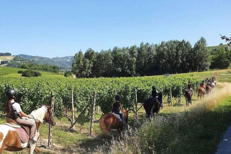Passeggiata a Cavallo nelle Langhe tra i Vigneti