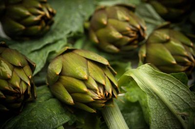Consortium for the Protection of Sardinian Spiny Artichokes PDO
