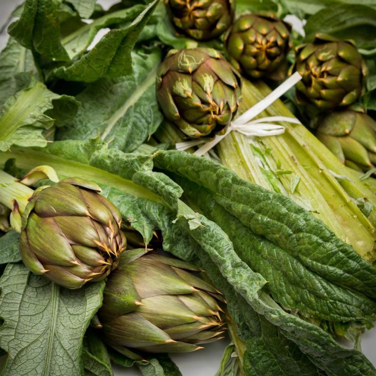 Consortium for the Protection of Sardinian Spiny Artichokes PDO