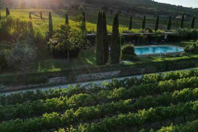 Nel Cuore del Chianti Classico: Vino, Cantina e Tradizione