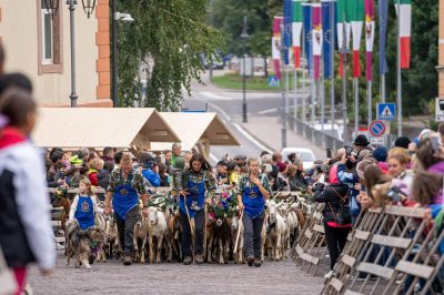 The Desmontegada de le Caore 2026