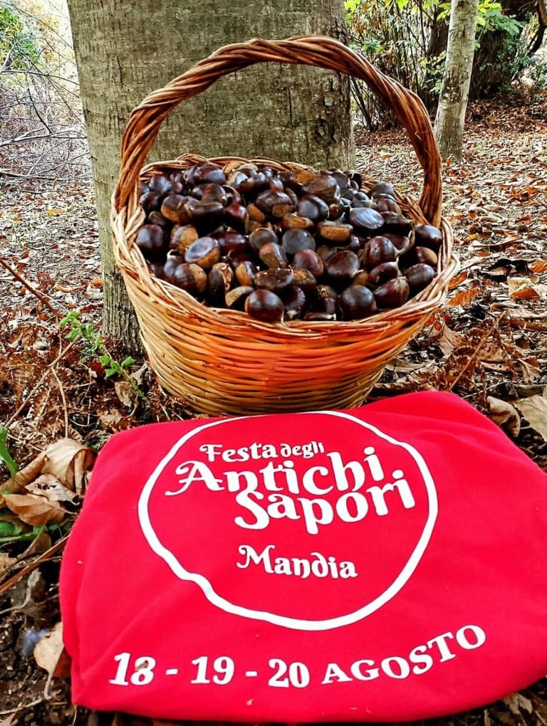 Festival of Ancient Flavours