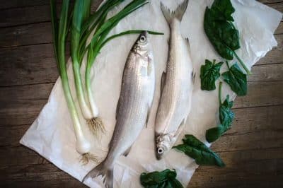 Festa del Pescatore 2026