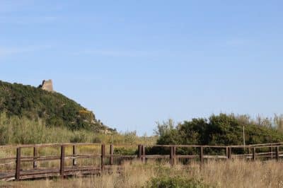 Telegraph Tower