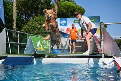 Dog Sport Experience 2026
