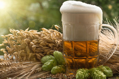 Marano Native Hop Festival