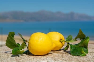 Festa del Limone