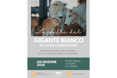 La Valle del Gigante Bianco