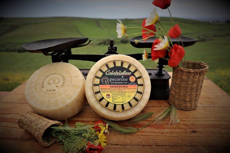 Pecorino Crotonese DOP semiduro