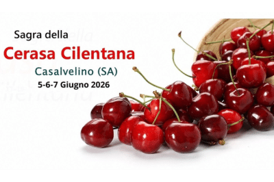 Sagra della Cerasa Cilentana