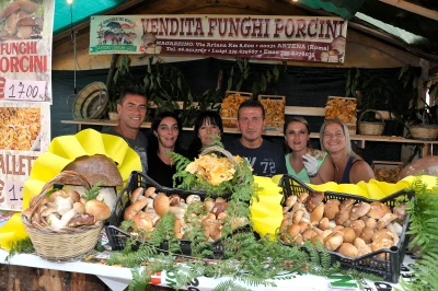 Sagra del fungo porcino