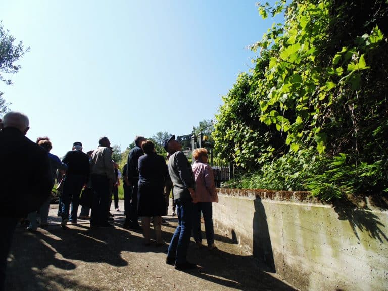 Visita e degustazione guidata