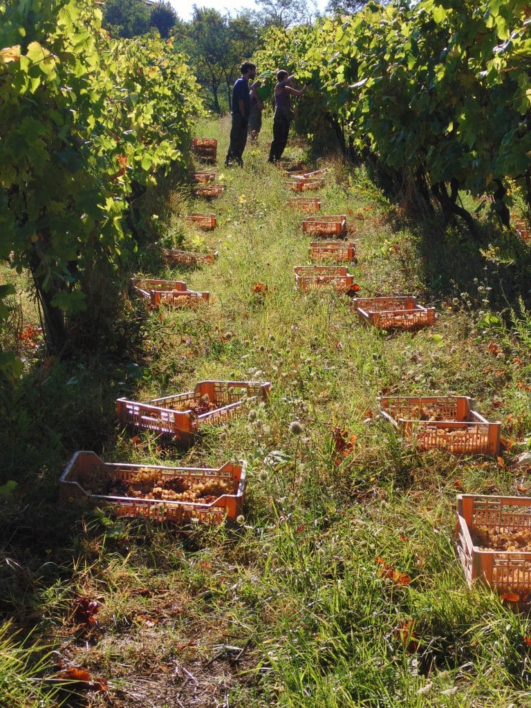 Fattoria Ca’ Rossa