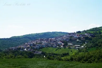 19_05_17-02_07_09-C62a60ca2cb97eeb2d72b9dbf37ac8b3