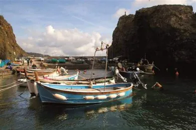 4Q5Z5520adelmo_massola