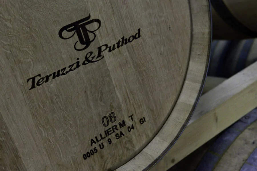 Azienda Vinicola Teruzzi & Puthod