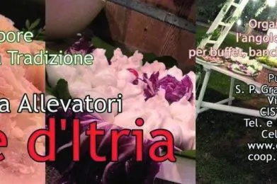 Caseificio Sociale Val di Fiemme