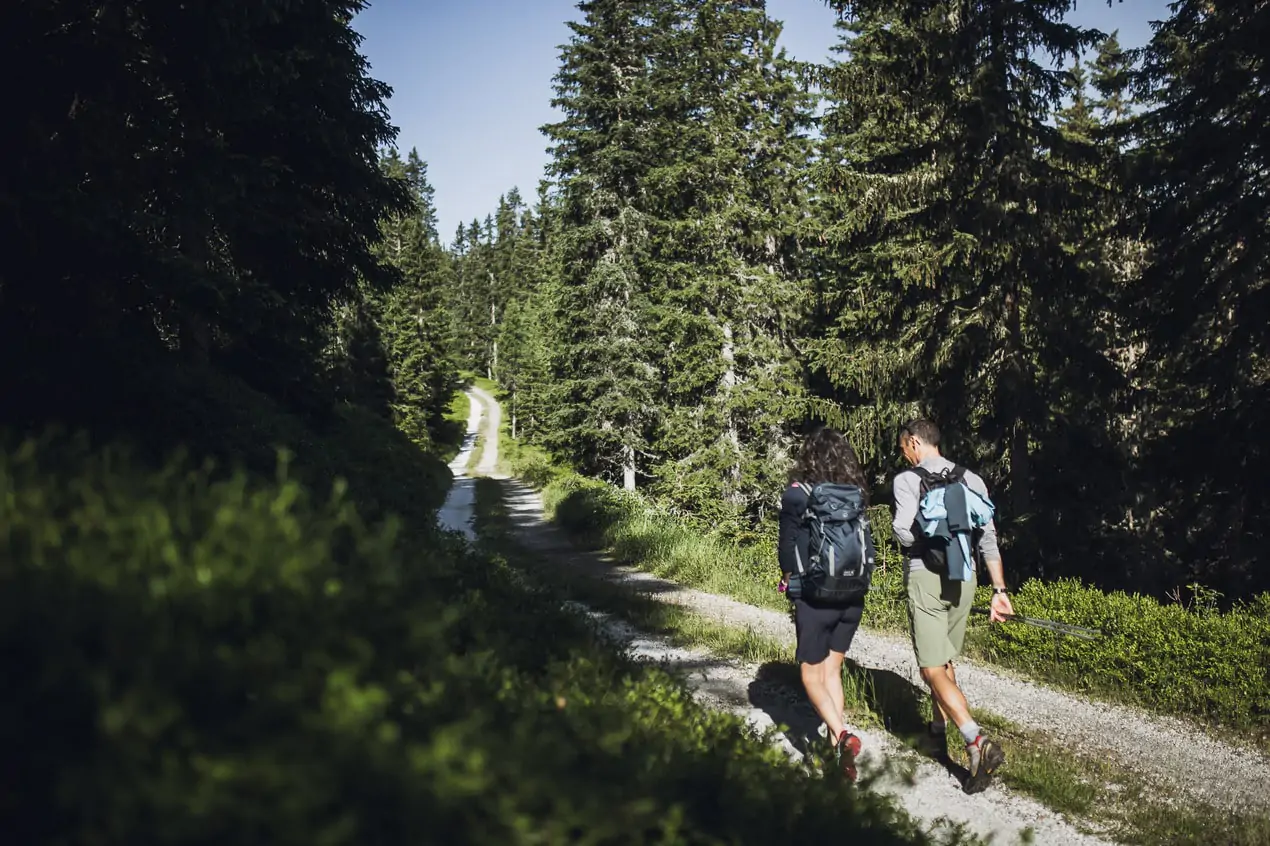 Racines in Alto Adige: esplora la primavera in montagna