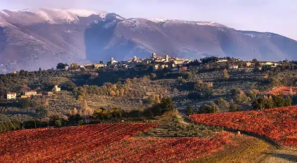 Montefalco: Sagrantino, San Francesco e le cantine dei frati