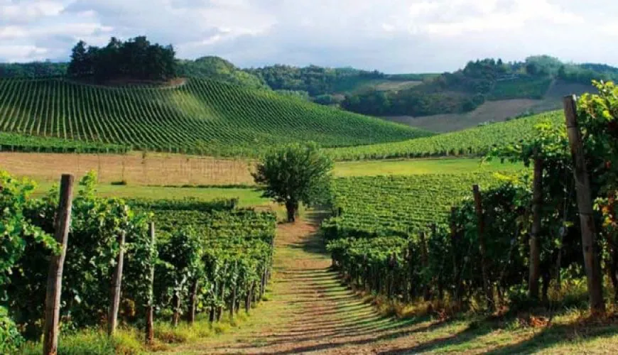 5 unmissable wine villages