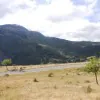 30 01 24 09 31 10 e2019ab26e84d71b6899d90fb3bfd11f 1