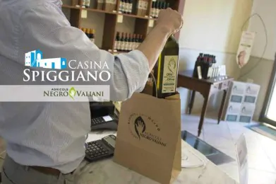 Farmhouse Casina Spiggiano