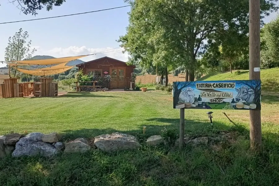 Agriturismo La Valle degli Ulivi