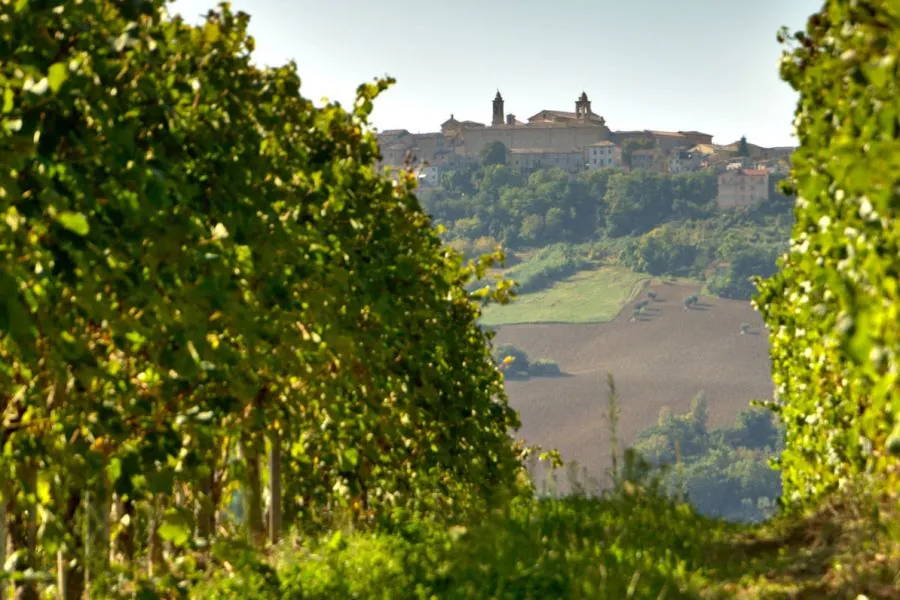 Cupramontana-Accoglie