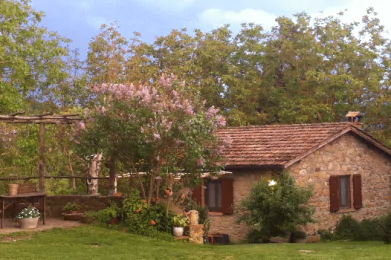 Fattoria Poggio di Dante