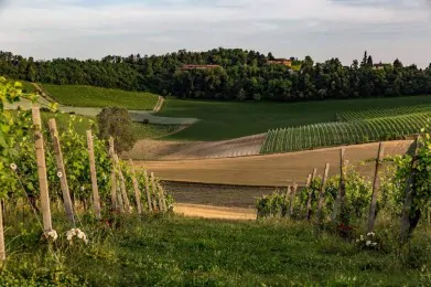 Spinerola Hotel in Cascina & Restaurant UvaSpina