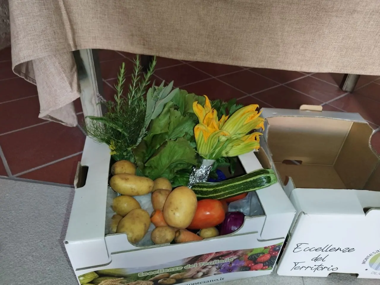 Festa dell'Arcobaleno
