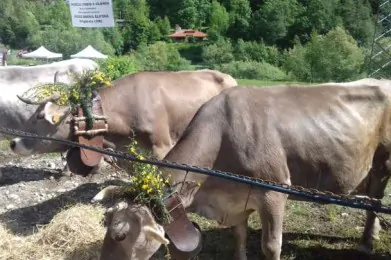 Fiera delle Pietre Gemelle