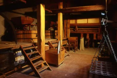 Ecomuseo Colombano Romean