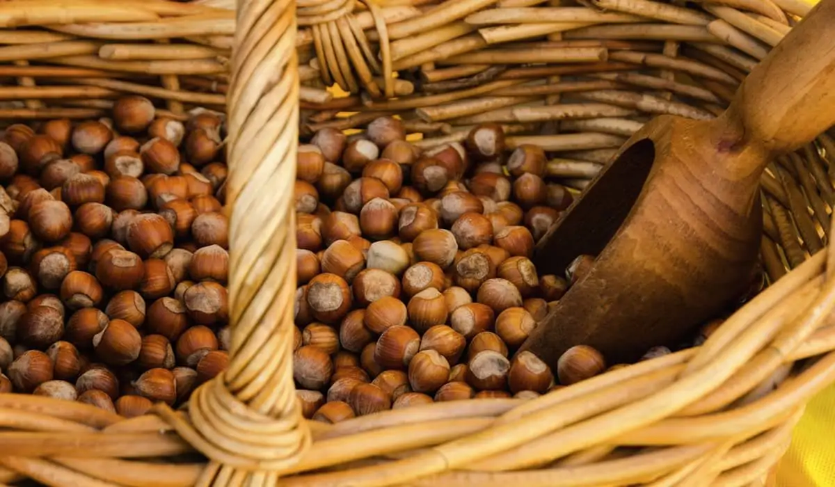 Fiera della nocciola a Castagnole Lanze.jpg