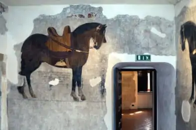 Museo Nazionale del Molise