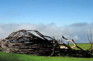Opera-Bosco-Museo-di-Arte-nella-Natura