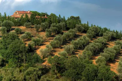 Montebelli Agriturismo e Country Hotel di Caldana