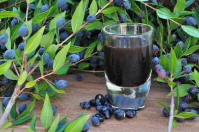 Ricetta: Mirto