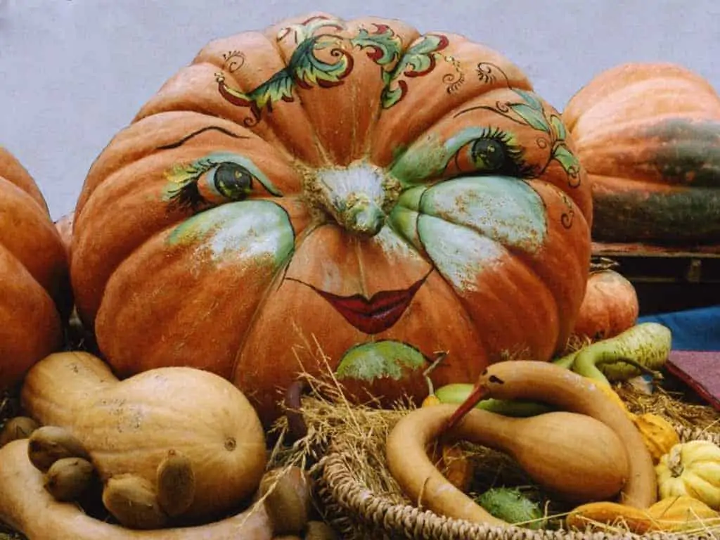 Venzone’s Golden Pumpkin: The story of a mock turned into recurrence