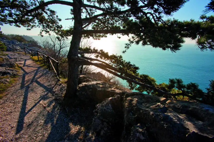 Riserva Naturale delle Falesie di Duino