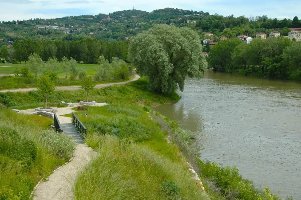 Scoprendo il Parco Naturale del Po Piemontese: Un corridoio ecologico di biodiversità