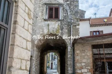 Ausonia - Fiore Silvestro Barbato