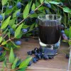 Ricetta Il Bargnolino 1
