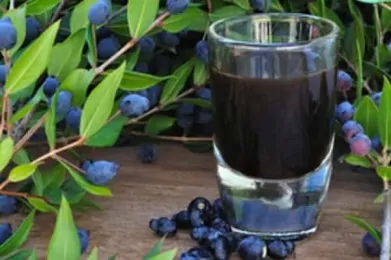 Ricetta: Il Bargnolino